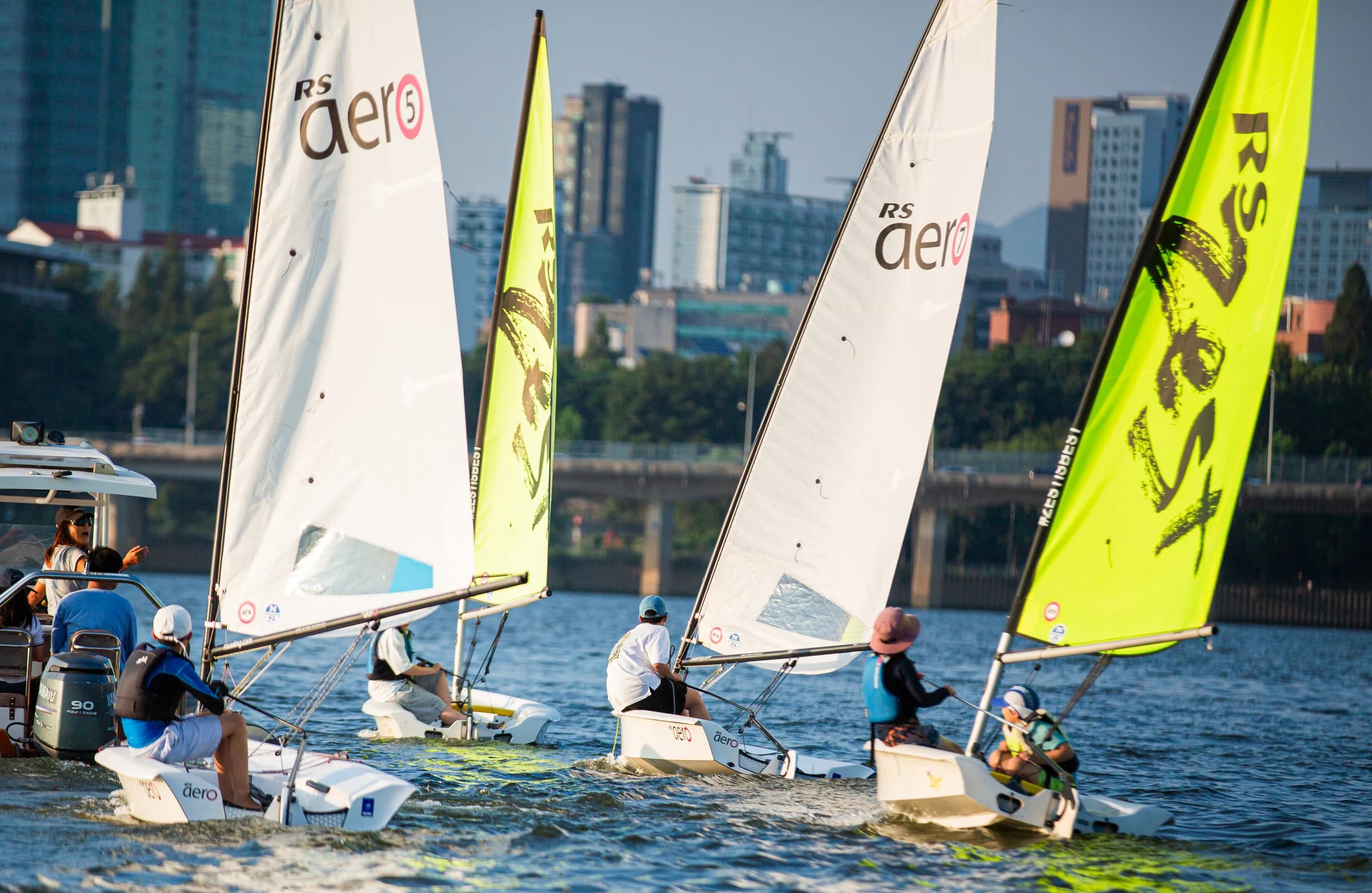 A fleet of dinghies with white and lime sails on sunlit water.